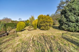 Garden- click for photo gallery